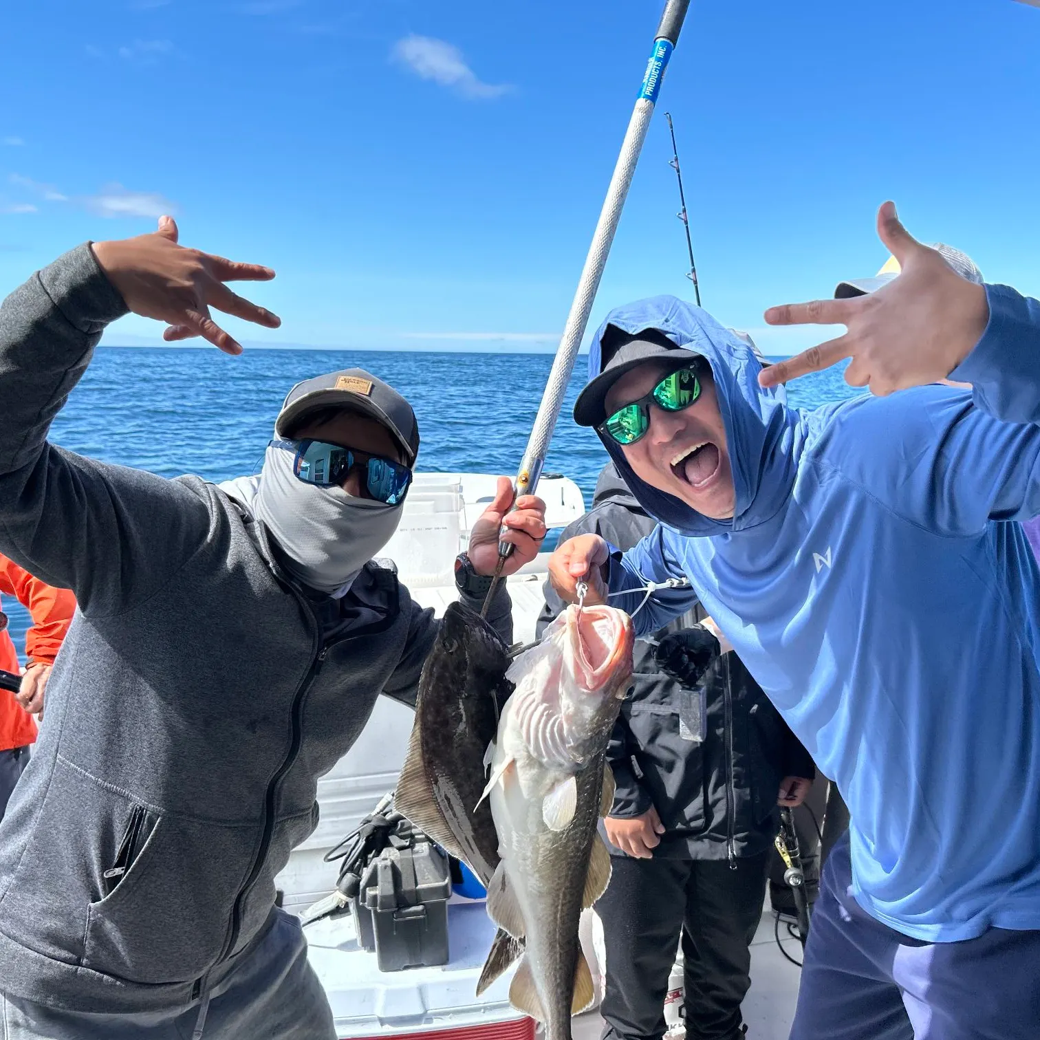 The most recent Pacific halibut catches on Fishbrain