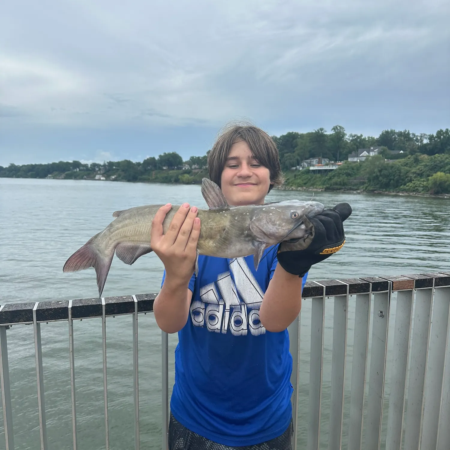 Channel catfish caught on Fishbrain