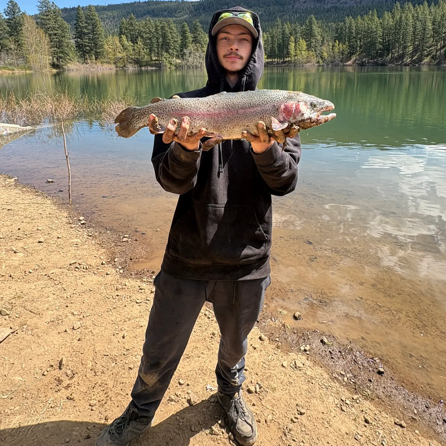 Rainbow trout caught on Fishbrain