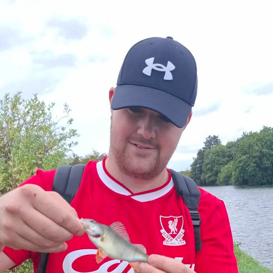European perch caught on Fishbrain