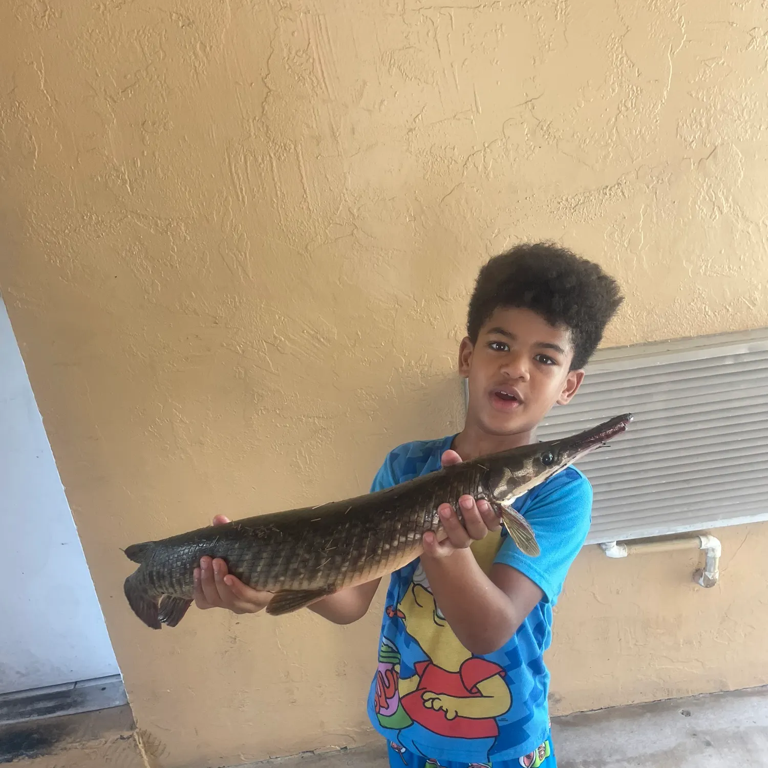 Florida gar caught on Fishbrain