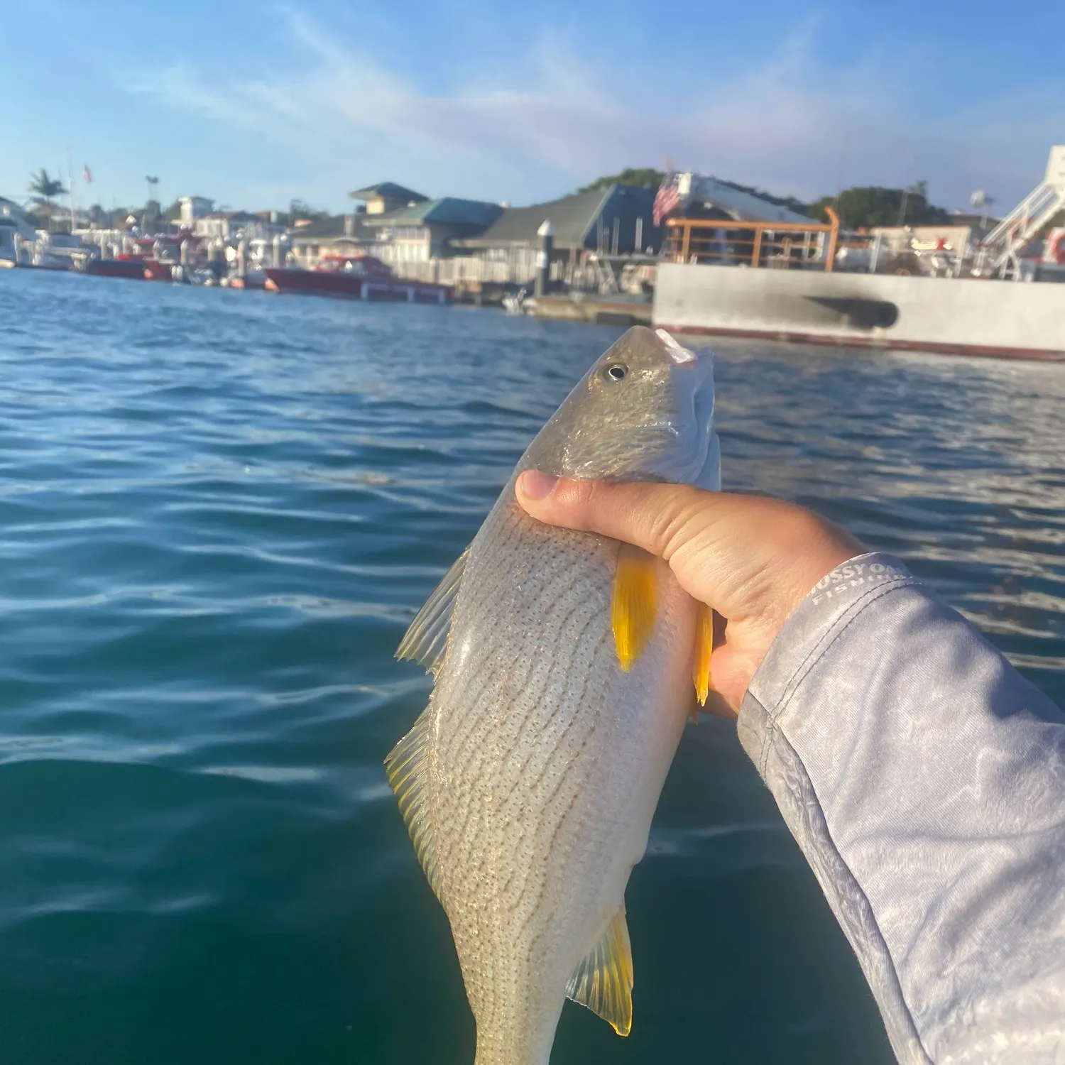 catch
