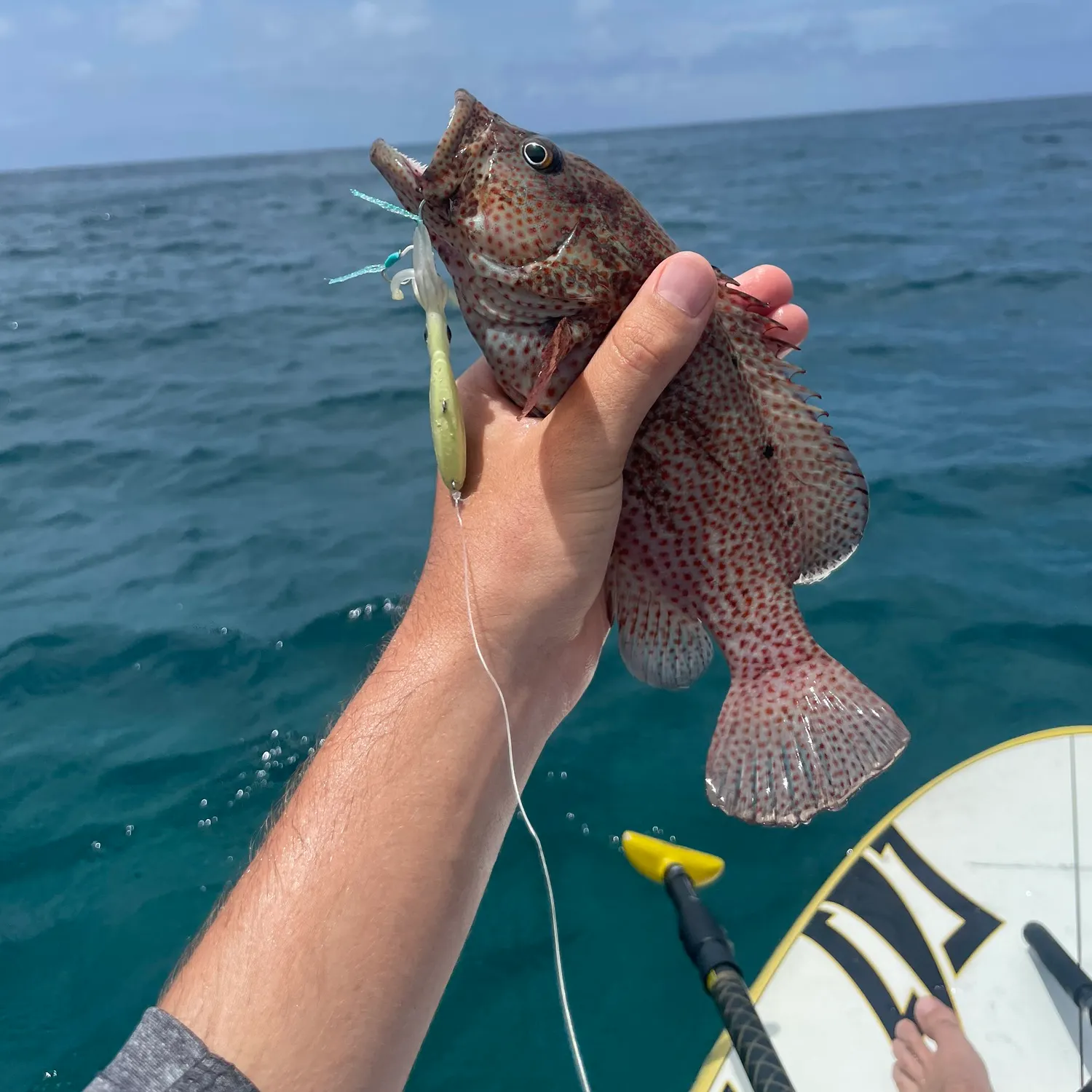 most liked catch image