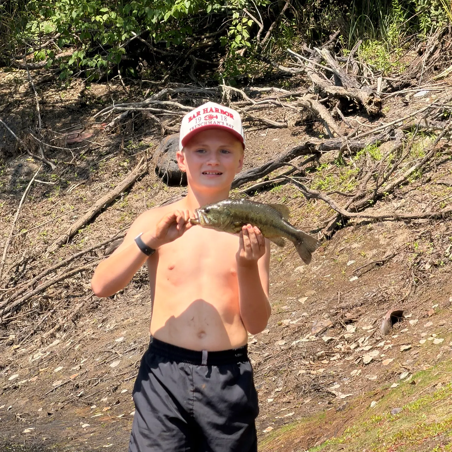 Largemouth bass caught on Fishbrain