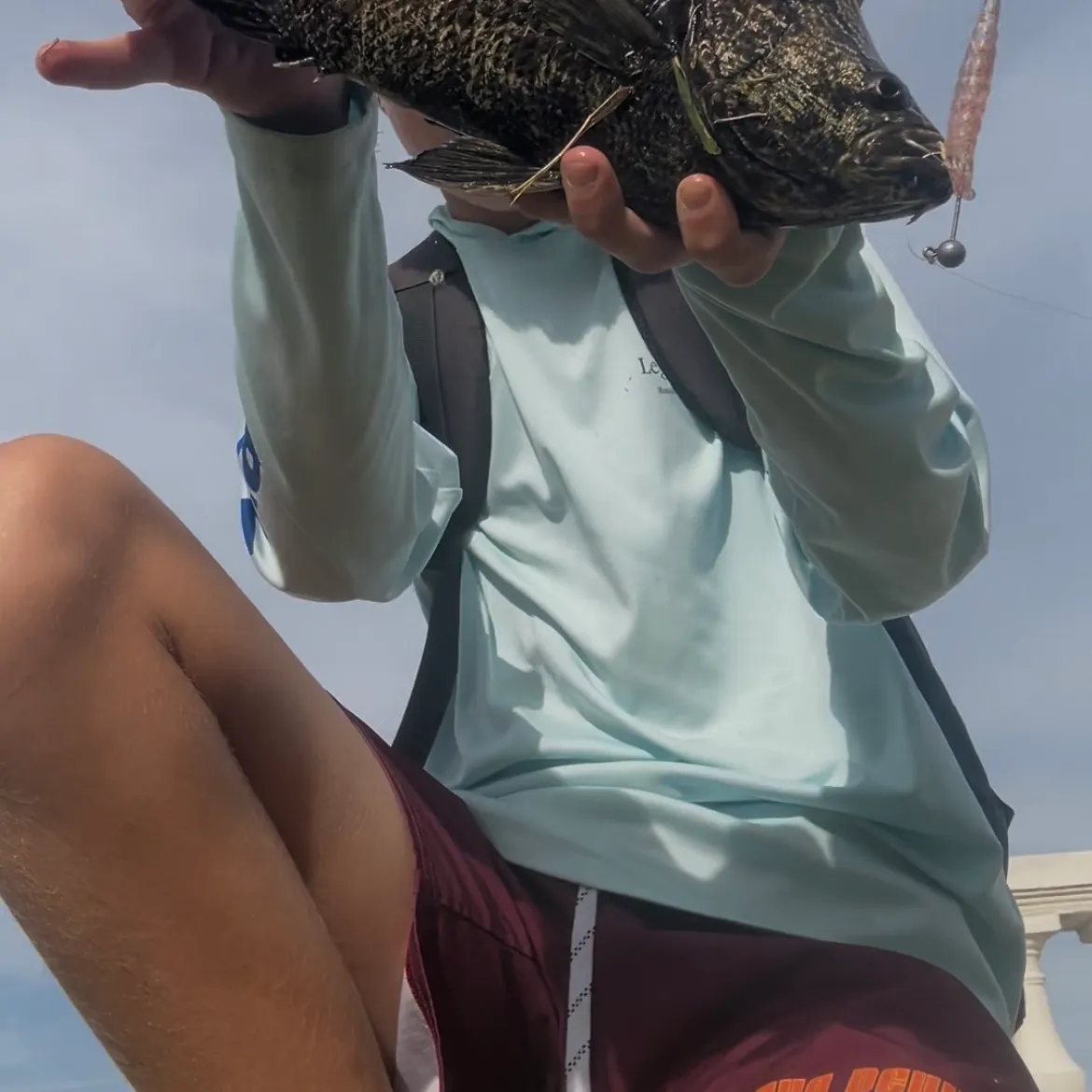 The most recent Atlantic tripletail catches on Fishbrain