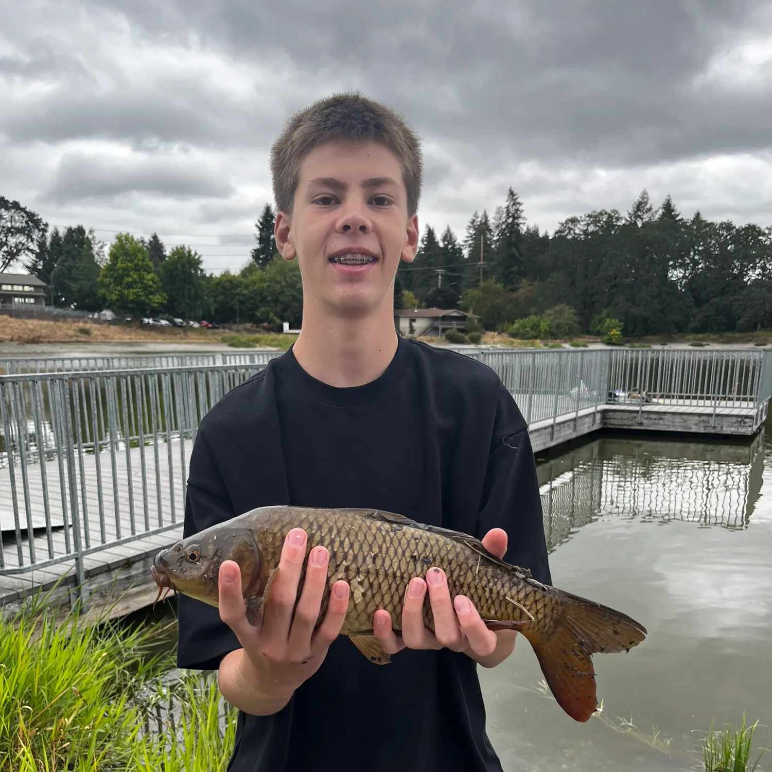 Common carp caught on Fishbrain