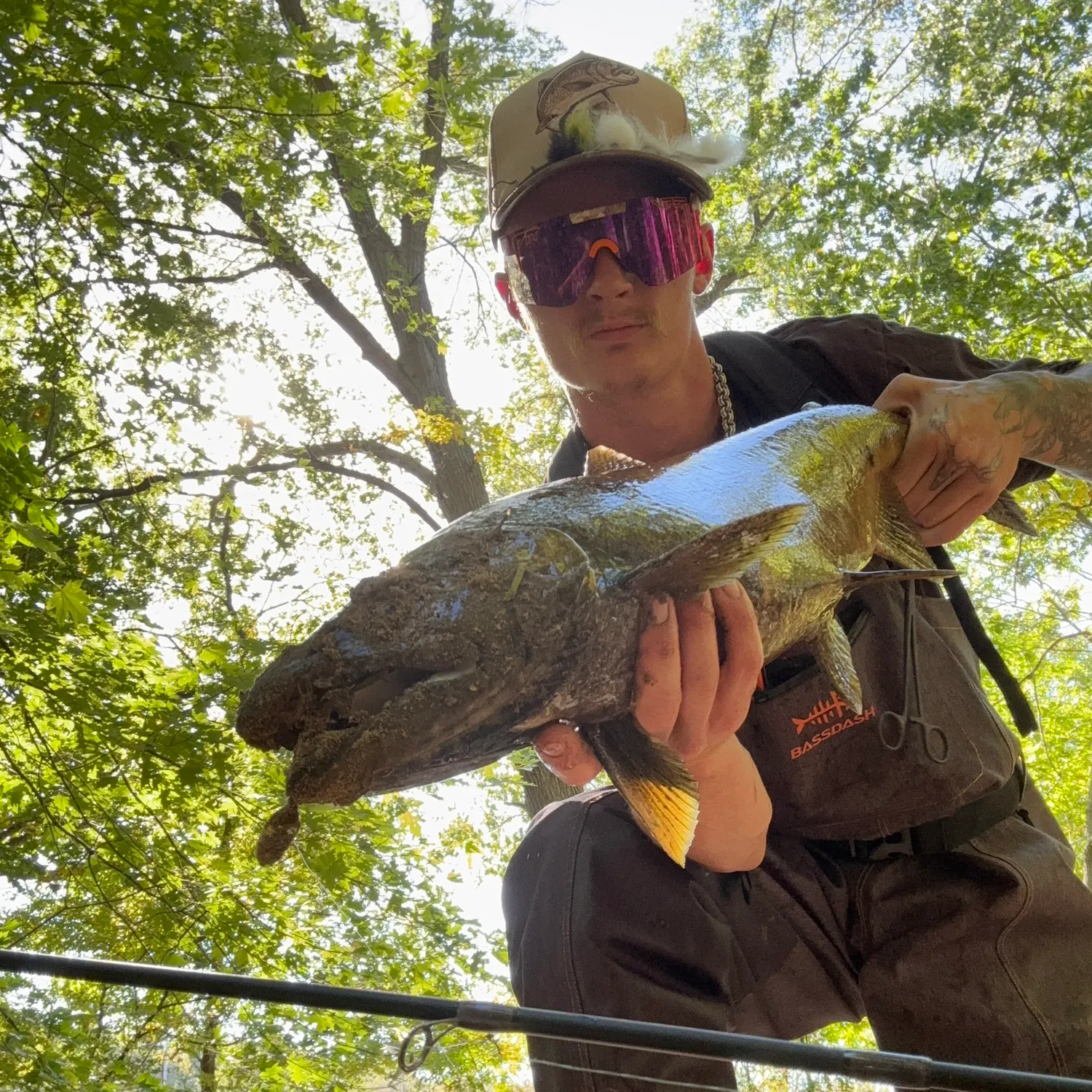 Chinook salmon caught on Fishbrain