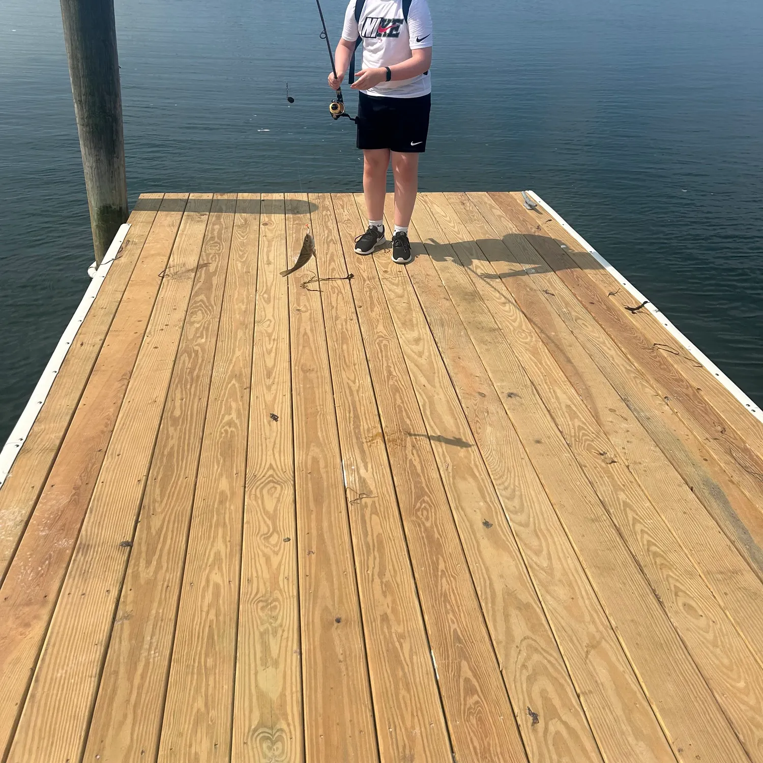 The most recent Gulf kingcroaker catches on Fishbrain