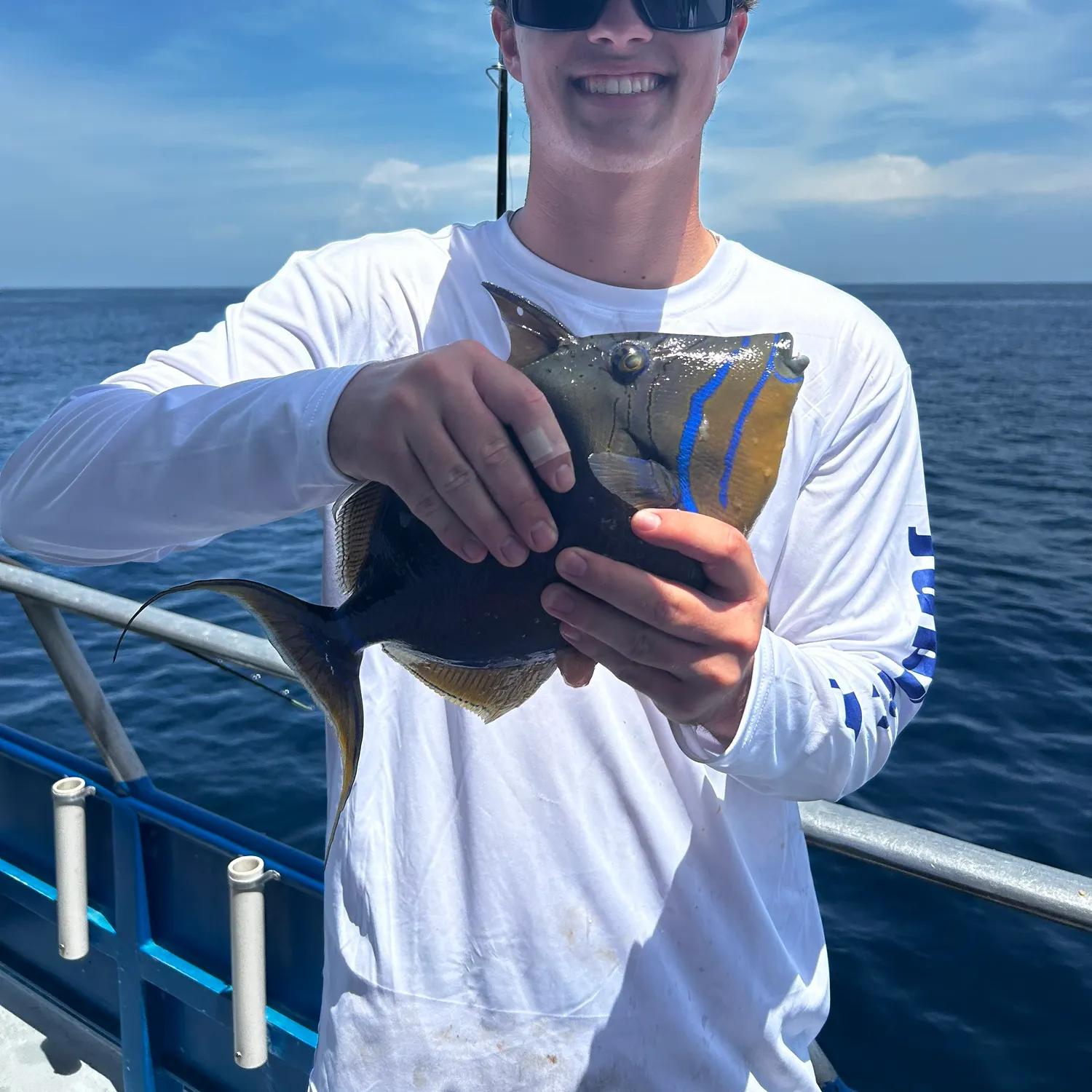 The most recent Queen triggerfish catches on Fishbrain