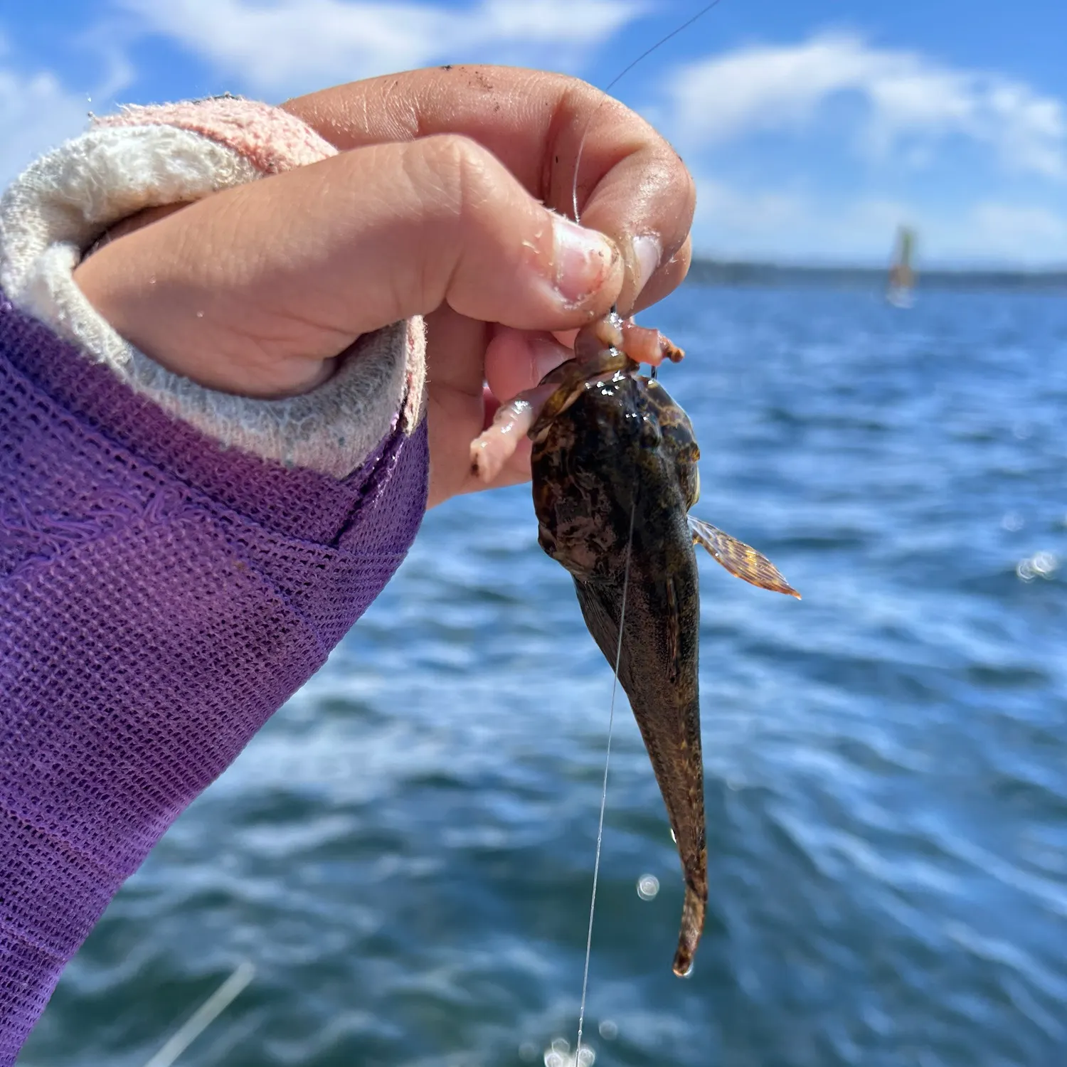 The most recent Bigmouth sculpin catches on Fishbrain