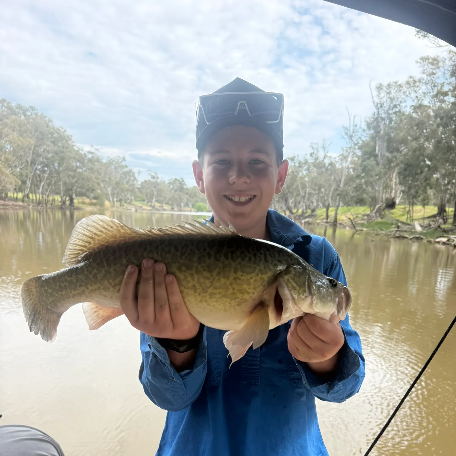 Murray cod caught on Fishbrain