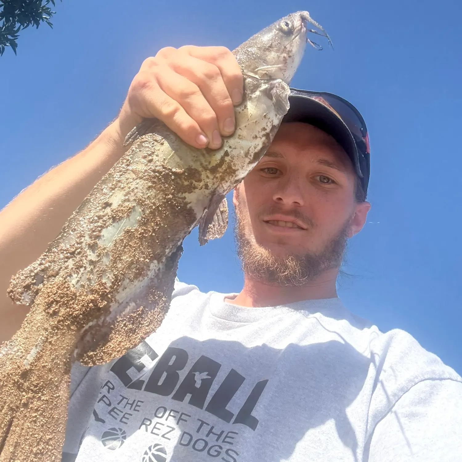 Channel catfish caught on Fishbrain