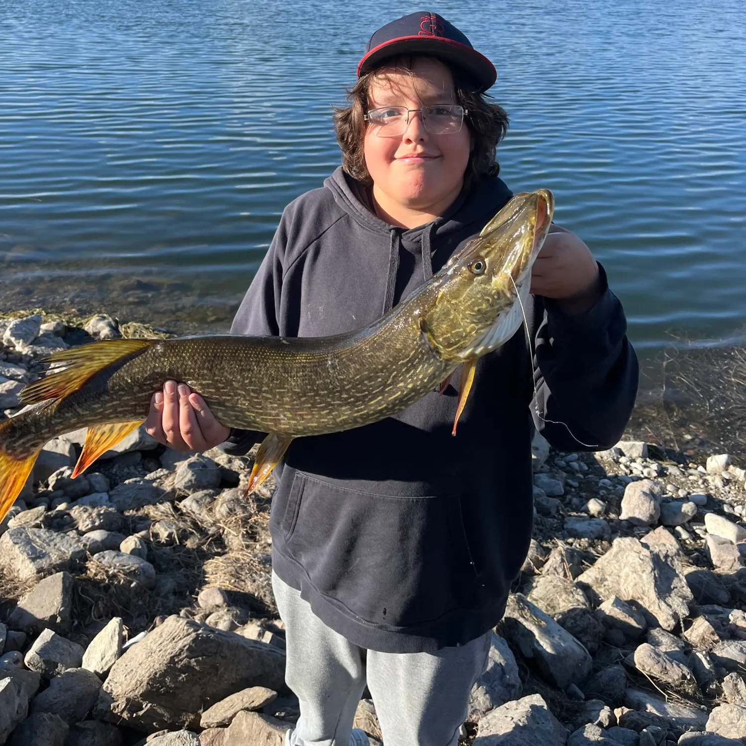 Northern pike caught on Fishbrain