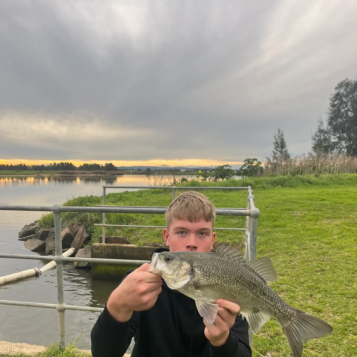 The most recent Australian bass catches on Fishbrain
