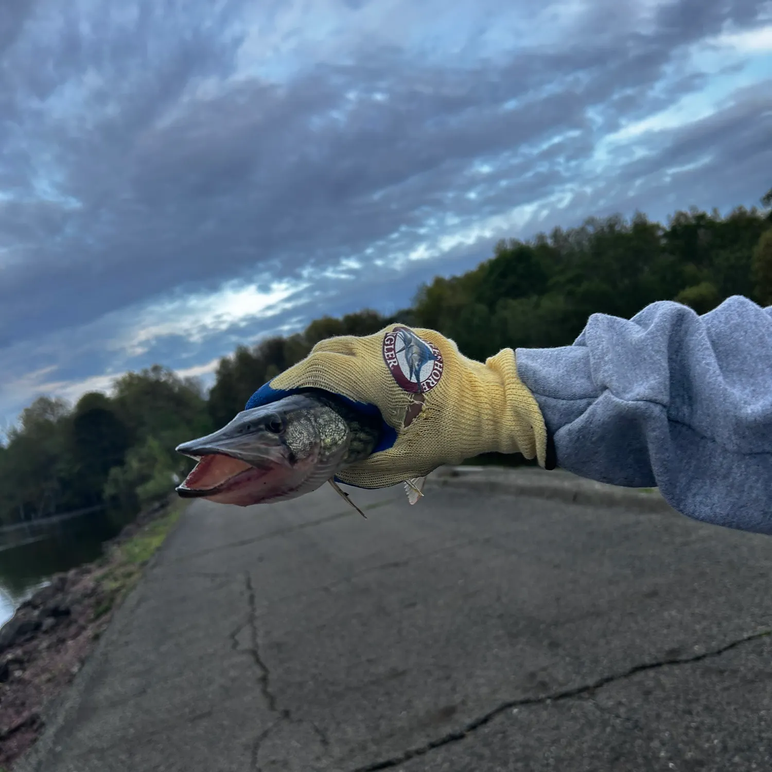 catch