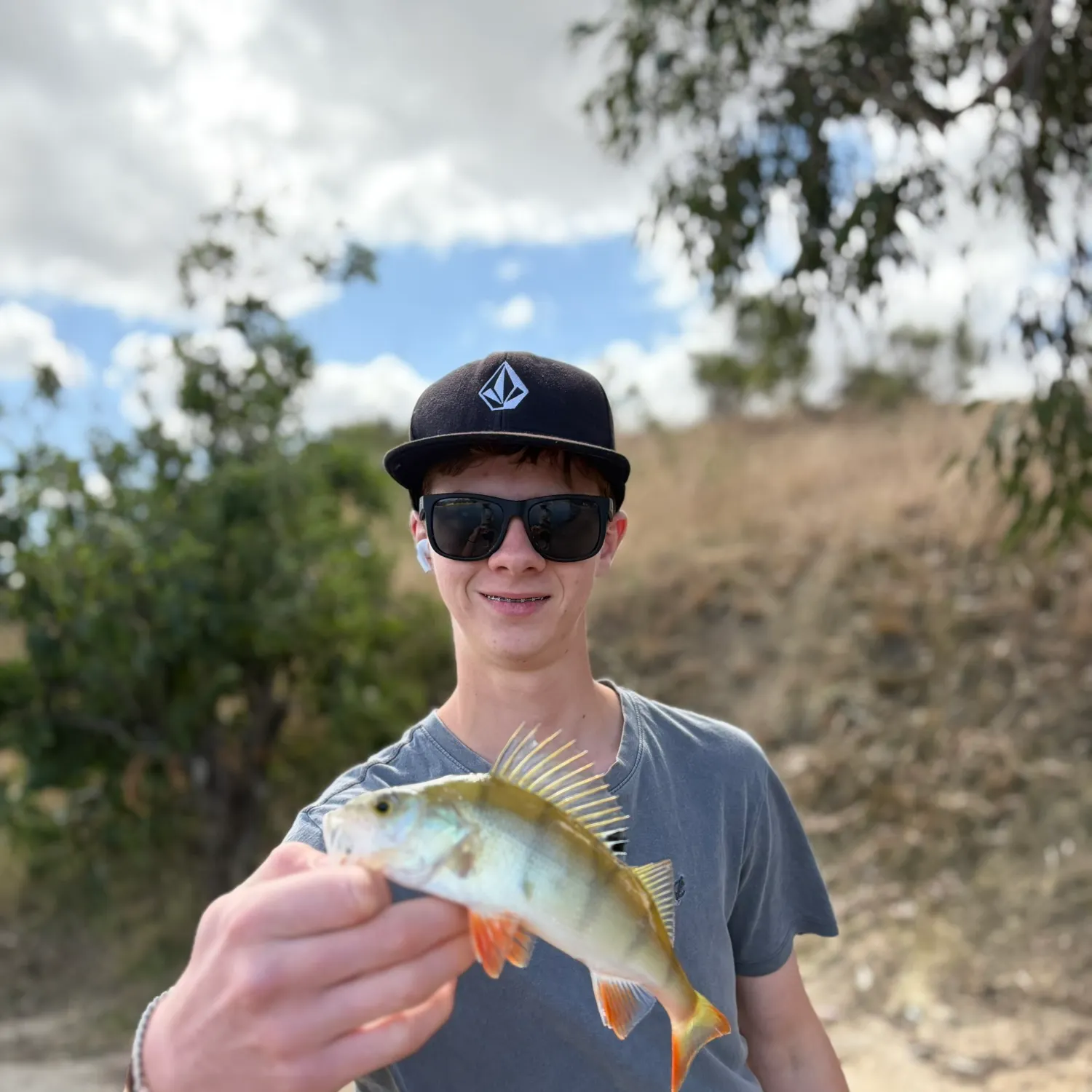 The most recent European perch catches on Fishbrain