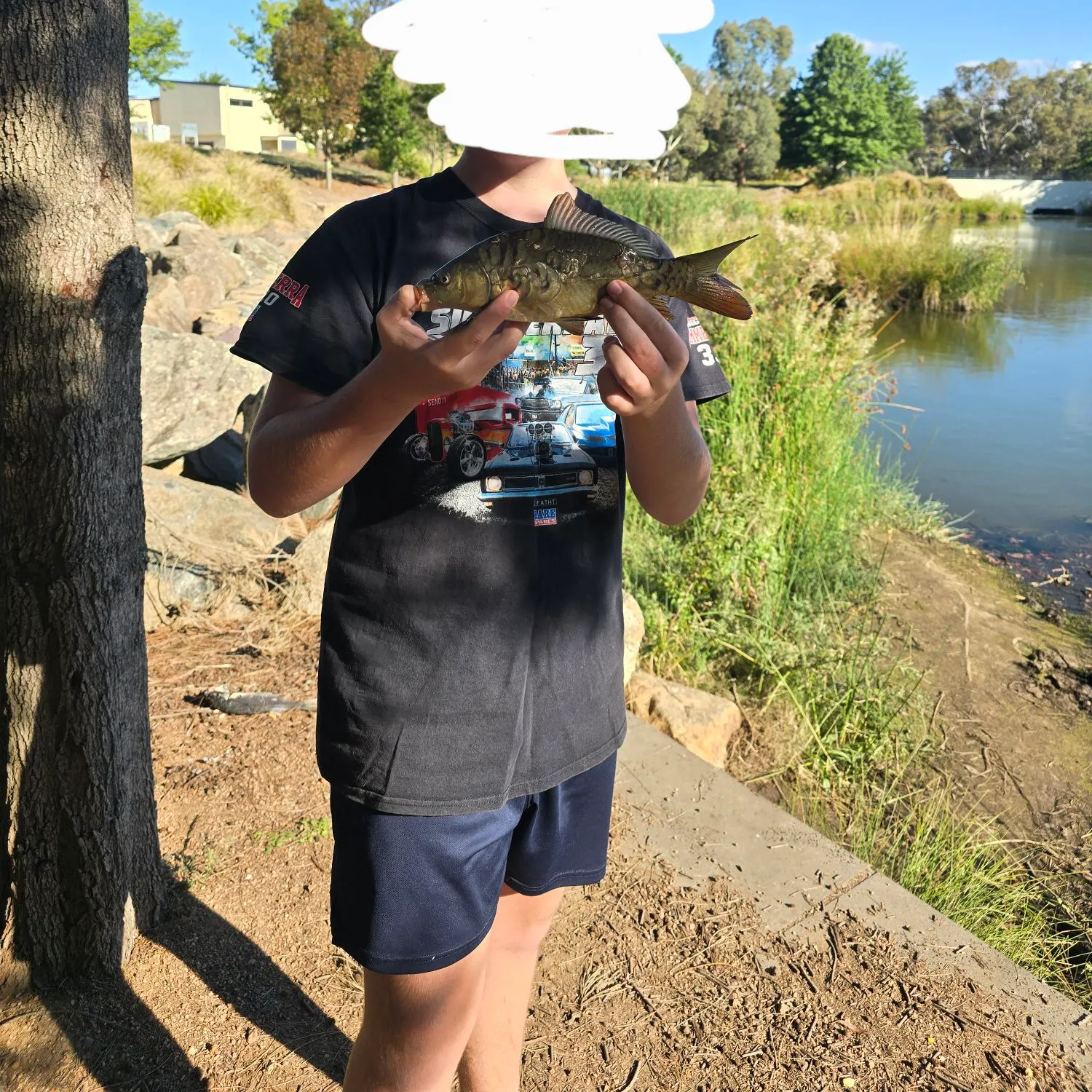 Mirror carp caught on Fishbrain