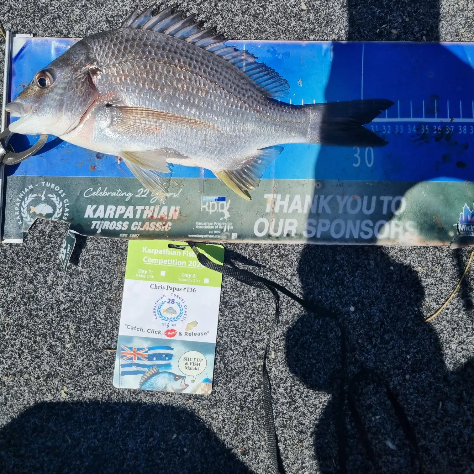 recently logged catches