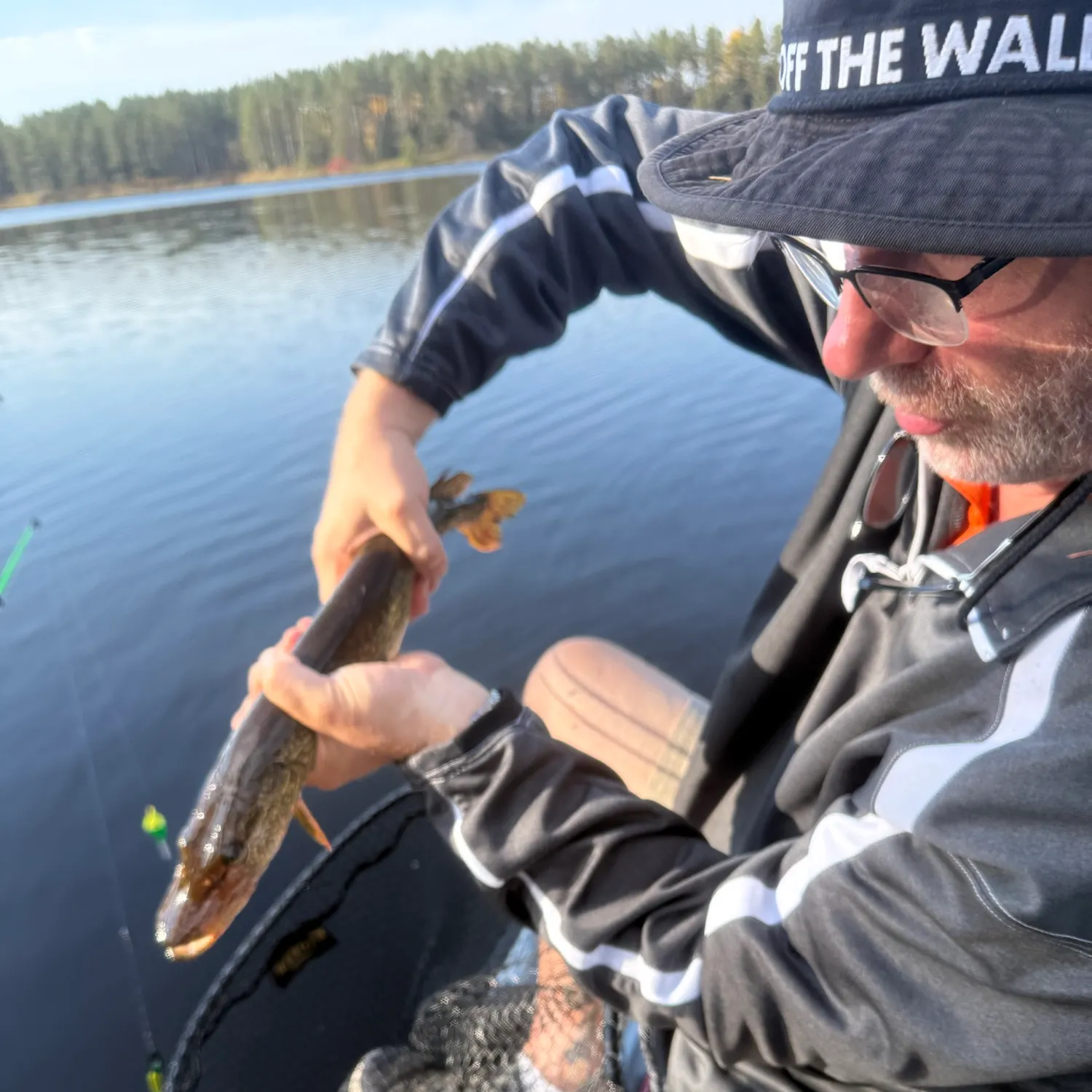 Northern pike caught on Fishbrain