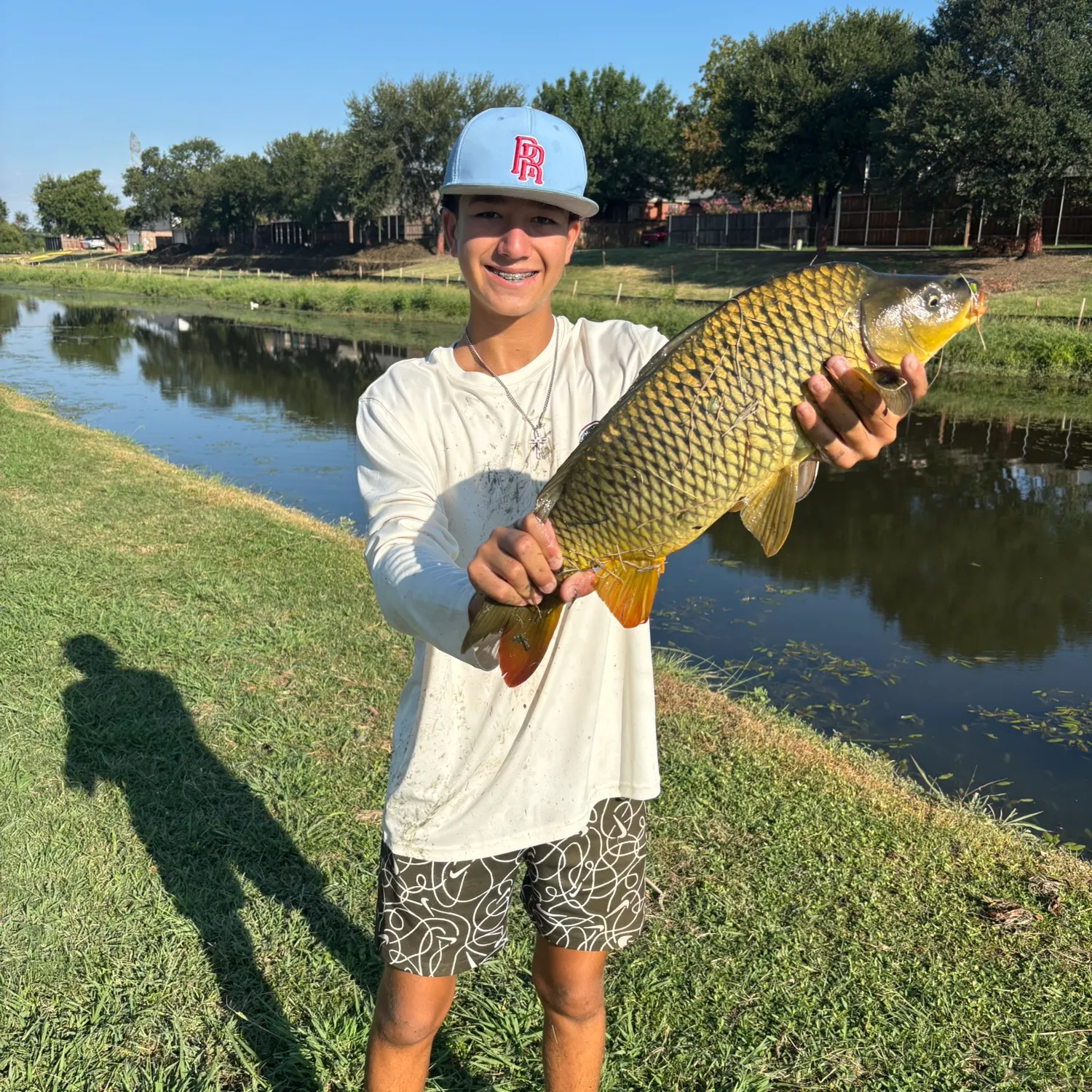 Common carp caught on Fishbrain