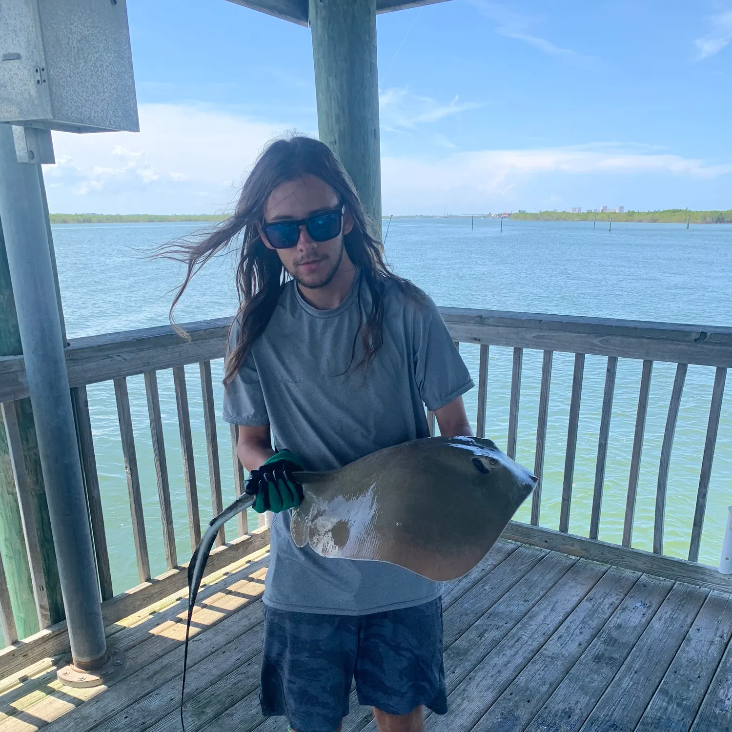 The most recent Bluntnose stingray catches on Fishbrain