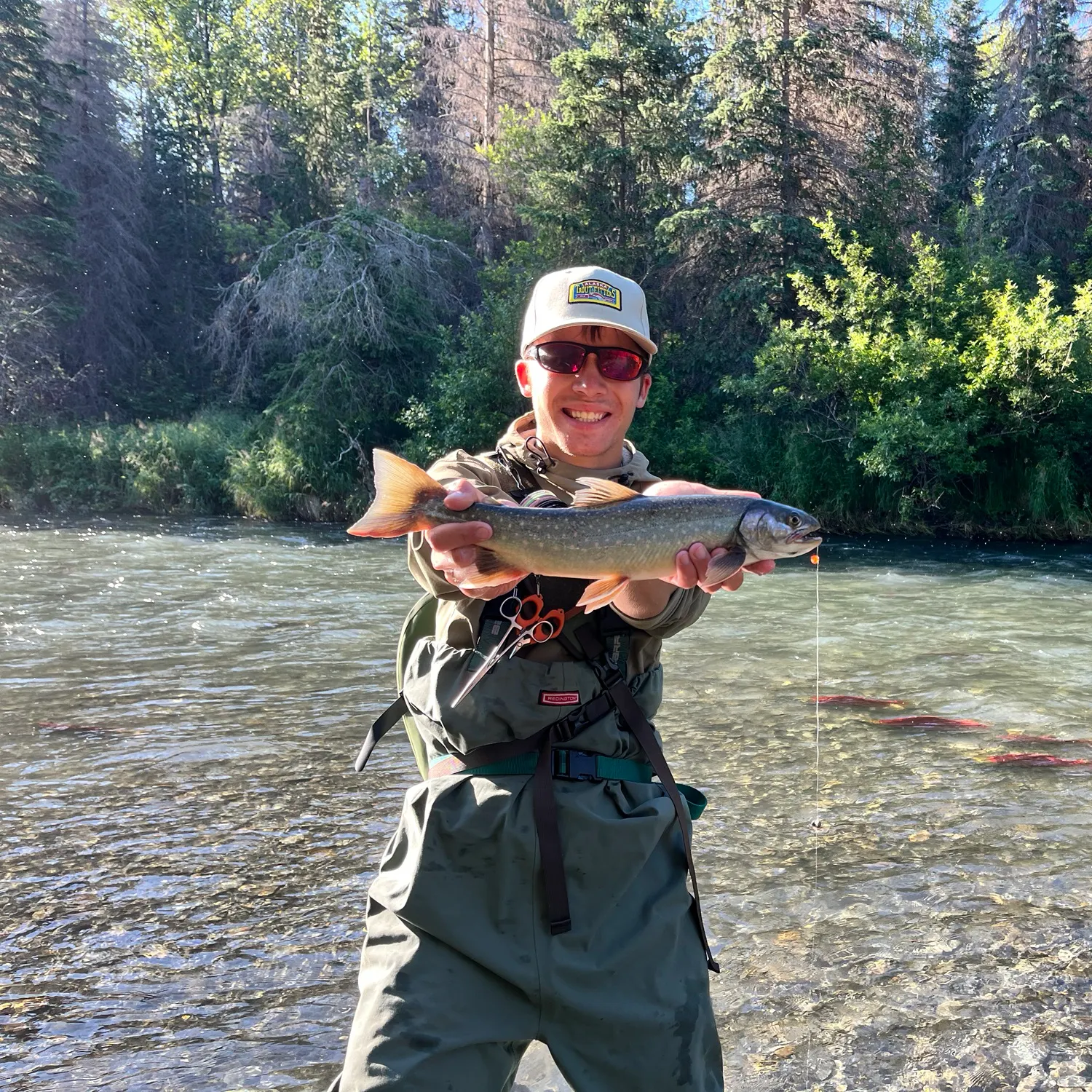 Sockeye salmon caught on Fishbrain