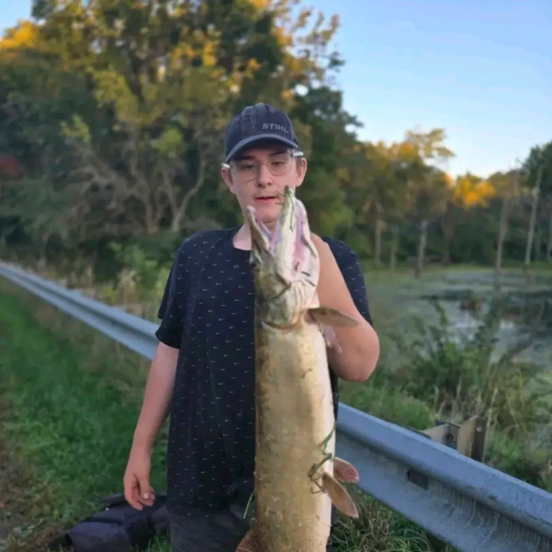 Muskie caught on Fishbrain
