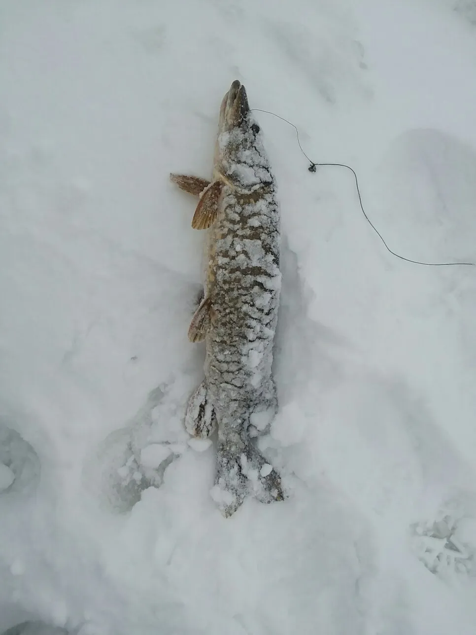 Post image from tgray5428