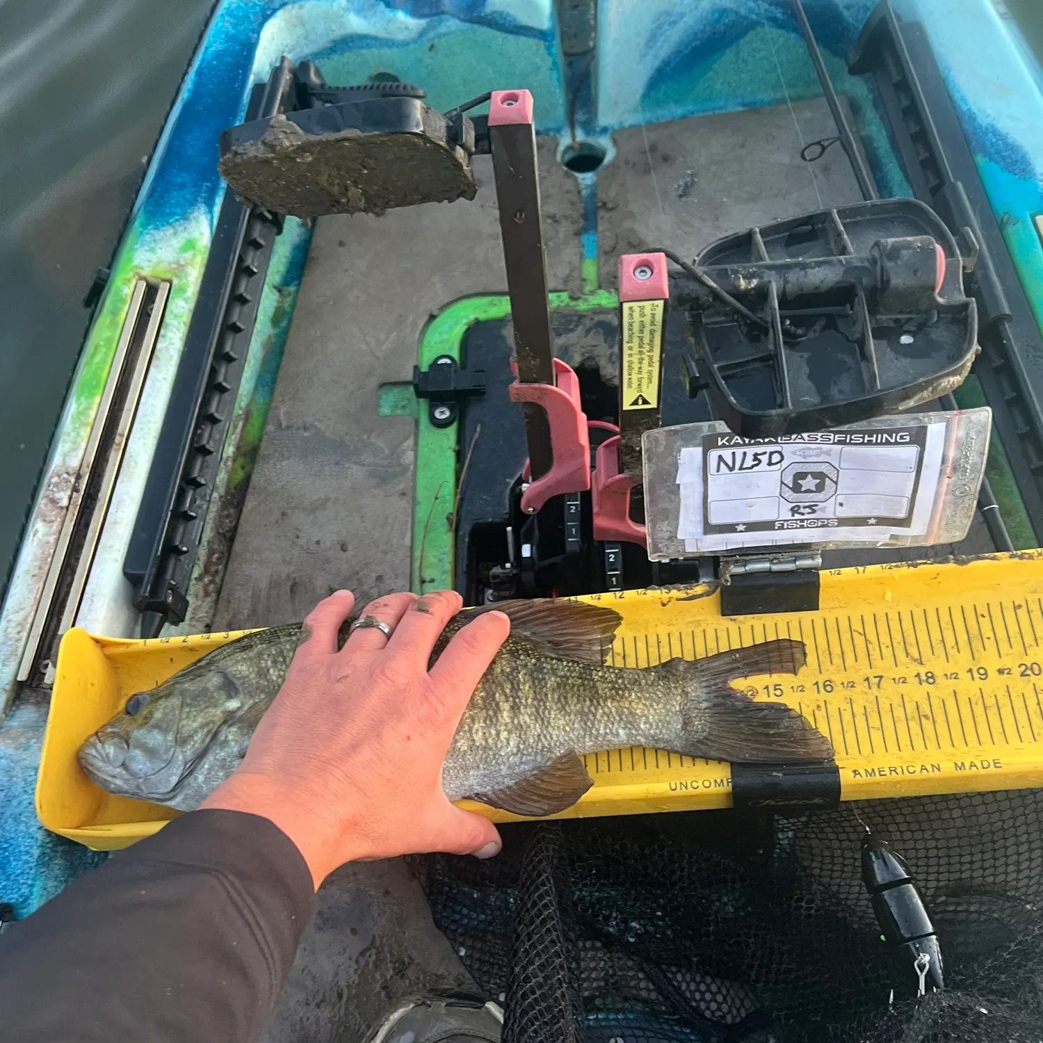 Smallmouth bass caught on Fishbrain
