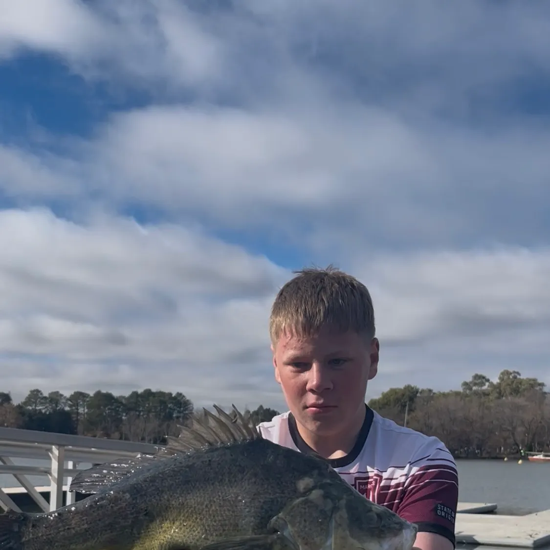 The most recent Golden perch catches on Fishbrain