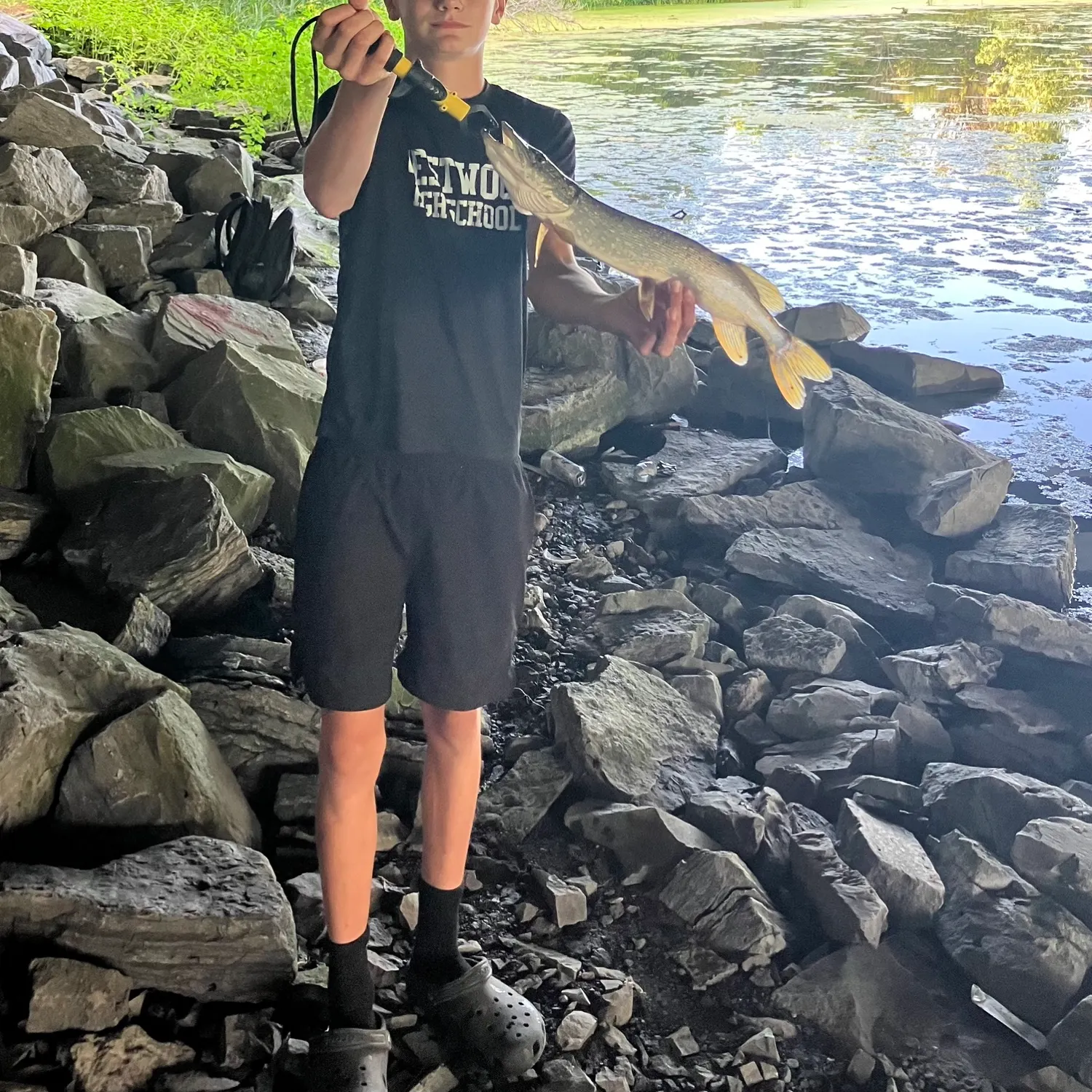 Northern pike caught on Fishbrain