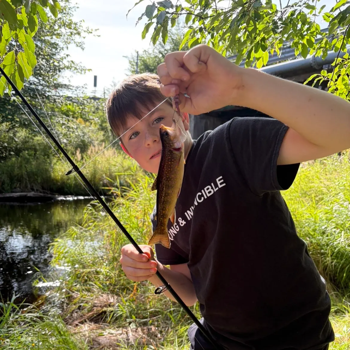 Rainbow trout caught on Fishbrain