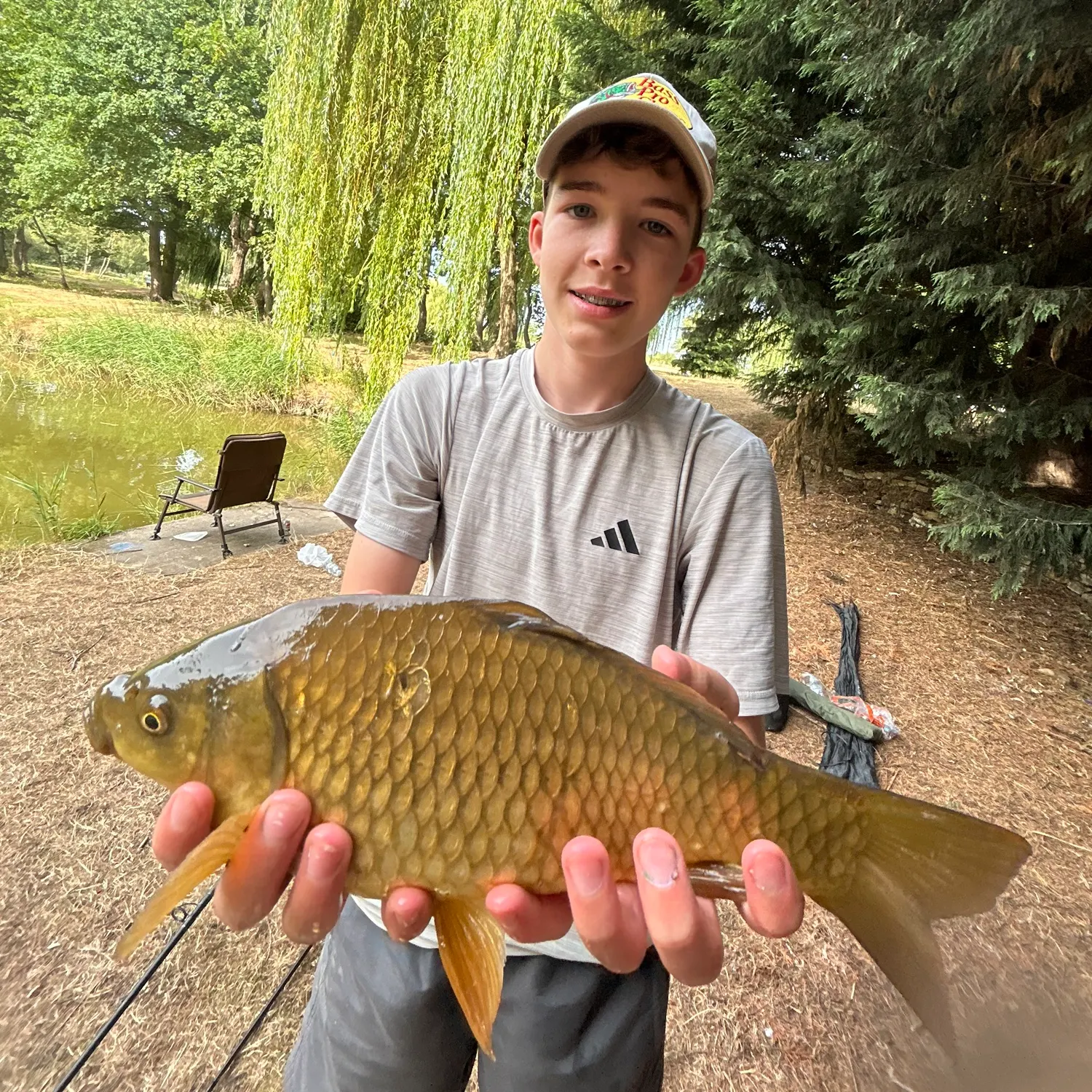 Common carp caught on Fishbrain