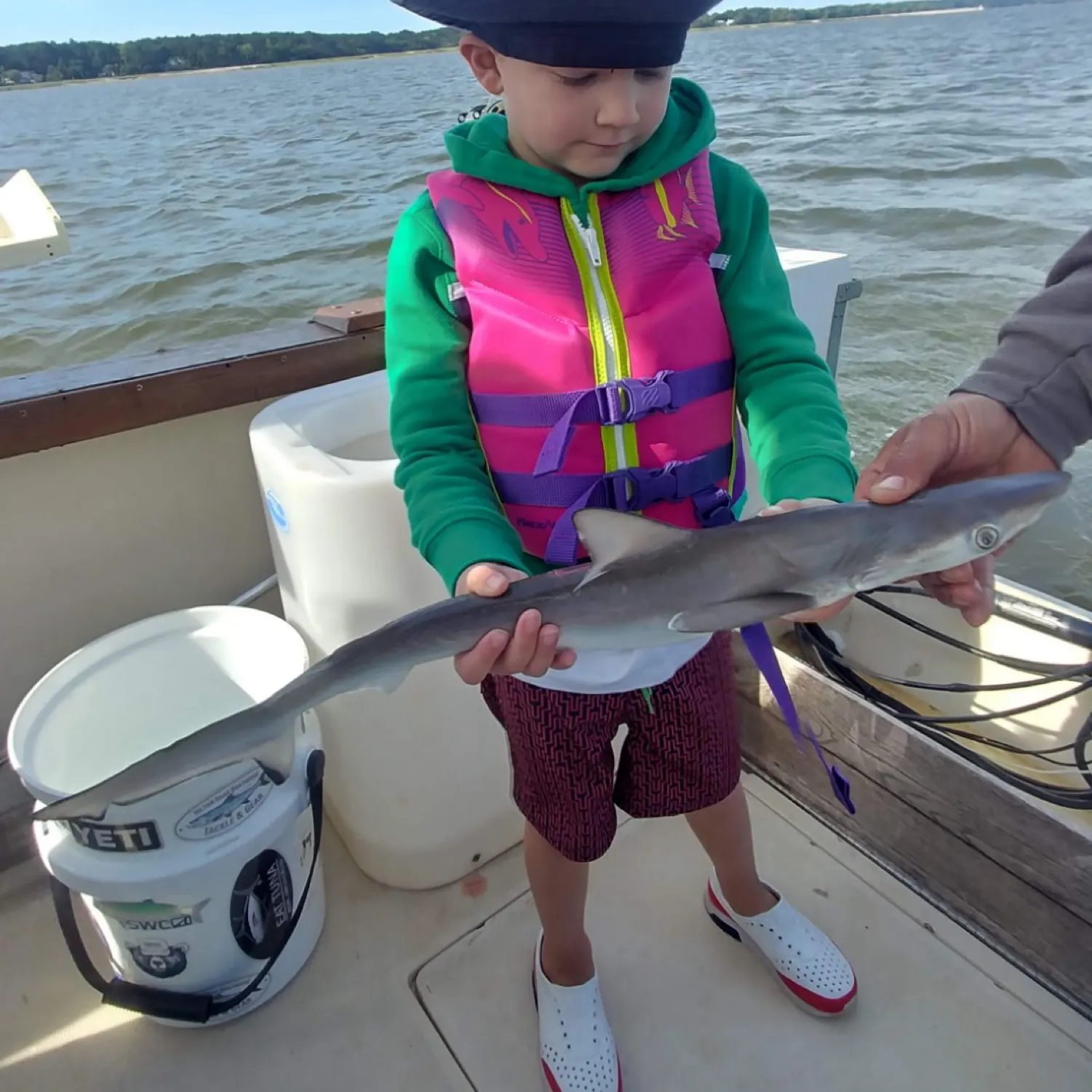 The most recent Gummy shark catches on Fishbrain