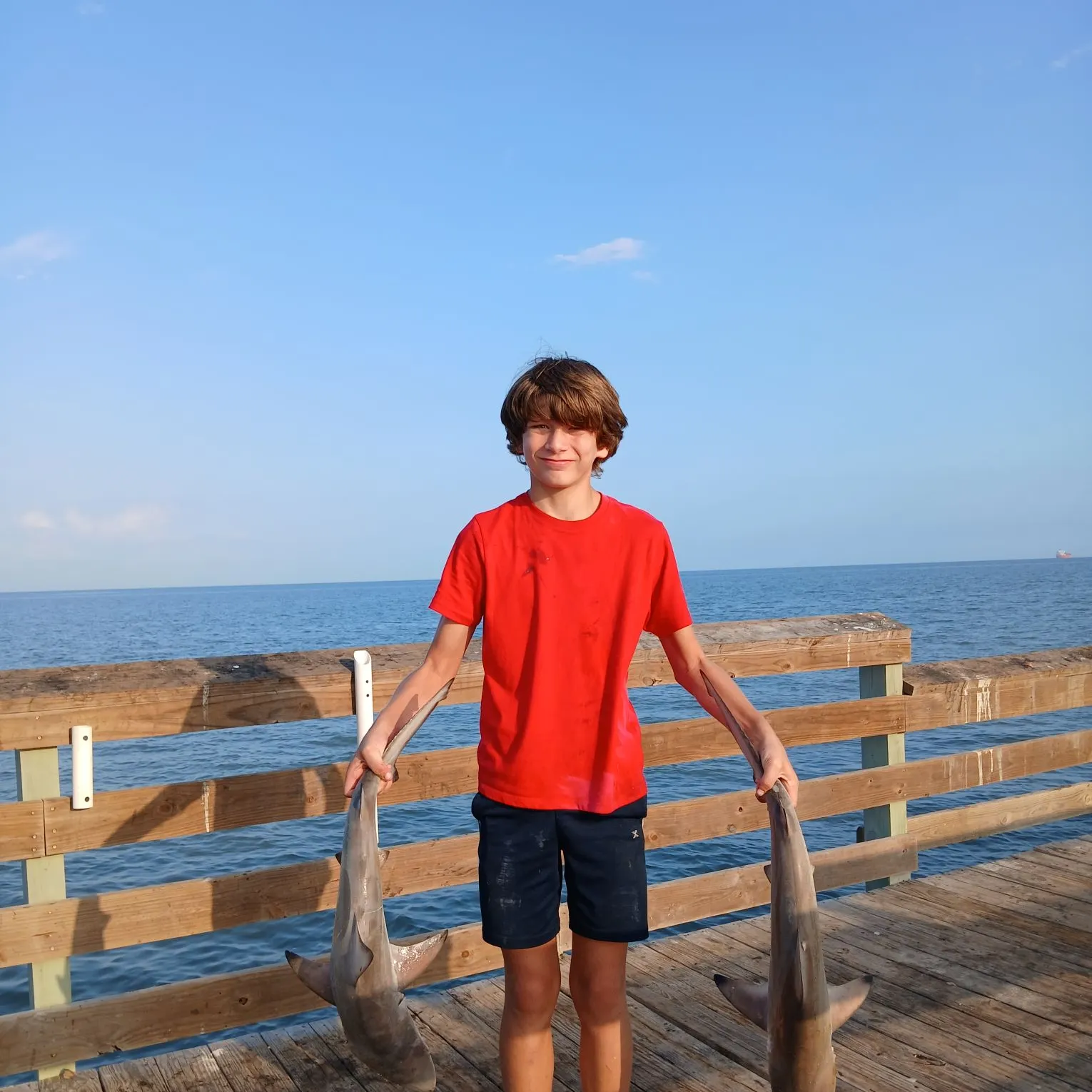 The most recent Blacktip shark catches on Fishbrain