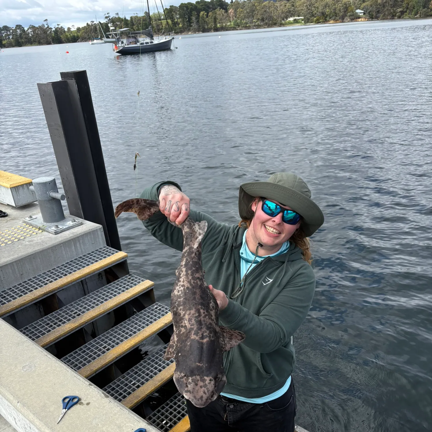 The most recent Draughtsboard shark catches on Fishbrain