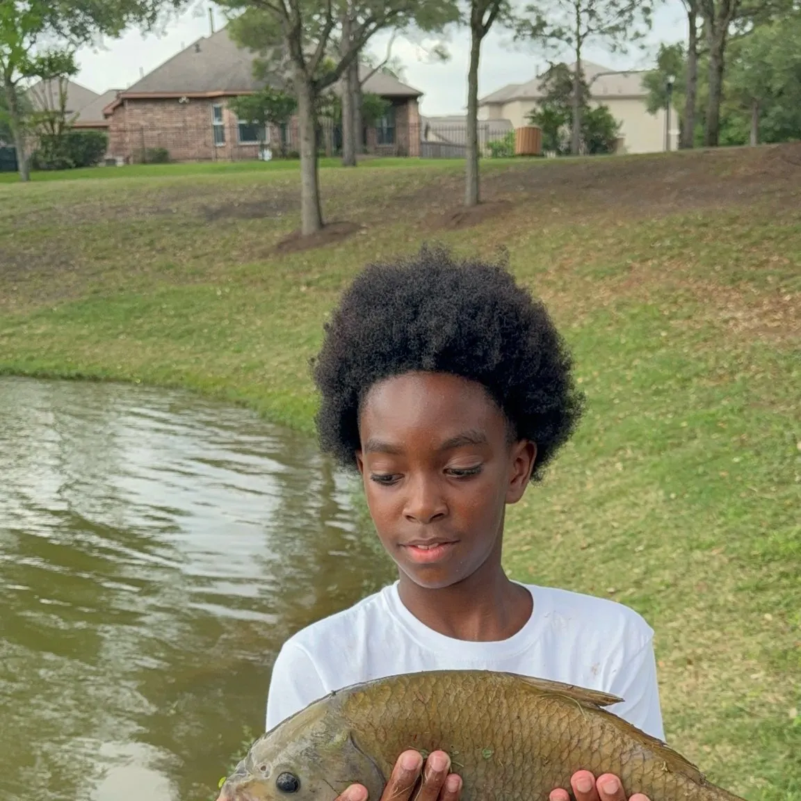 The most recent Smallmouth buffalo catches on Fishbrain