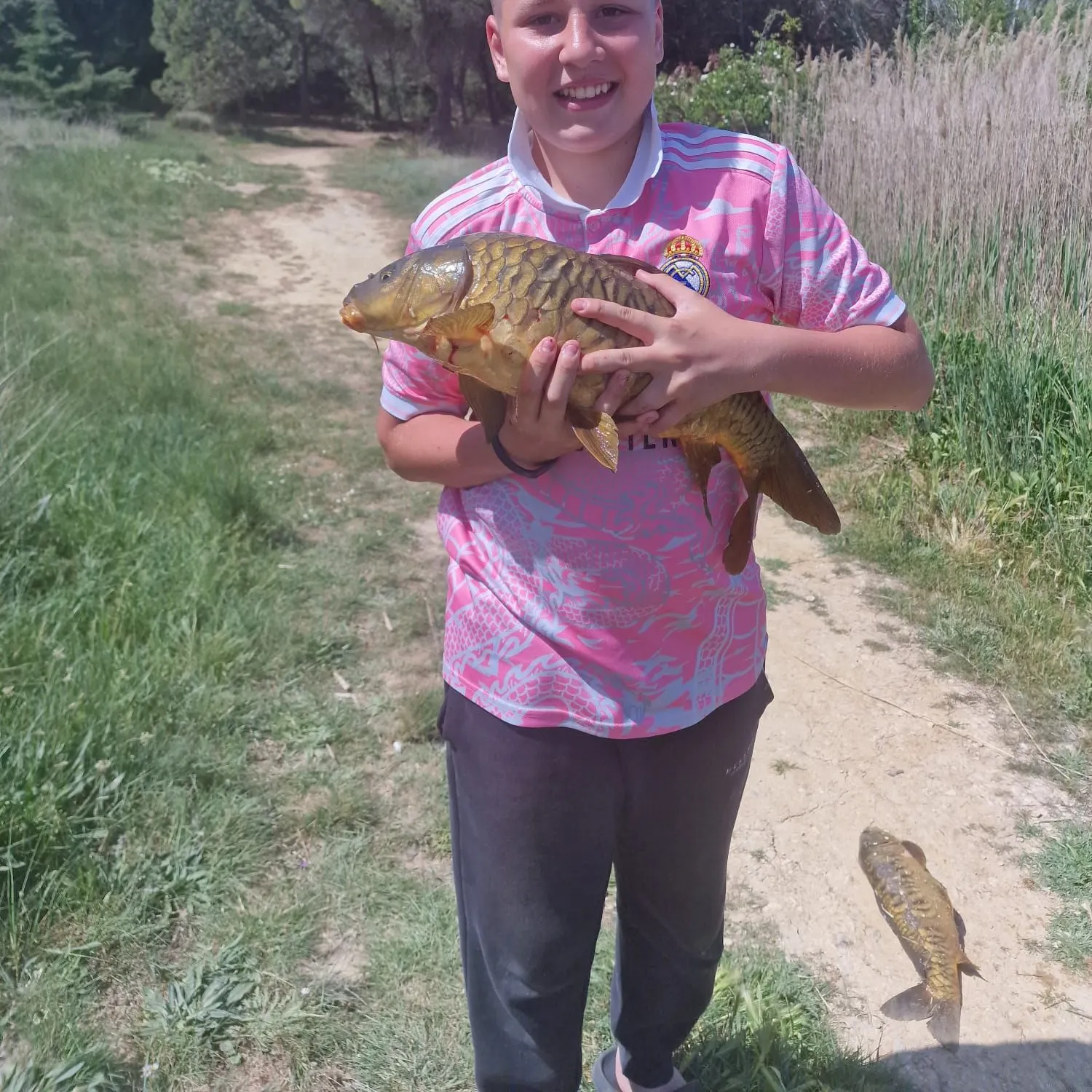 Common carp caught on Fishbrain
