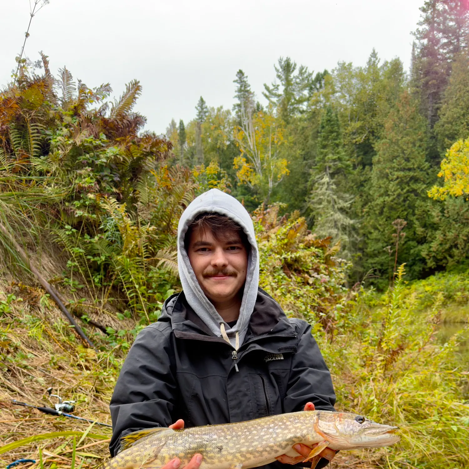 Northern pike caught on Fishbrain