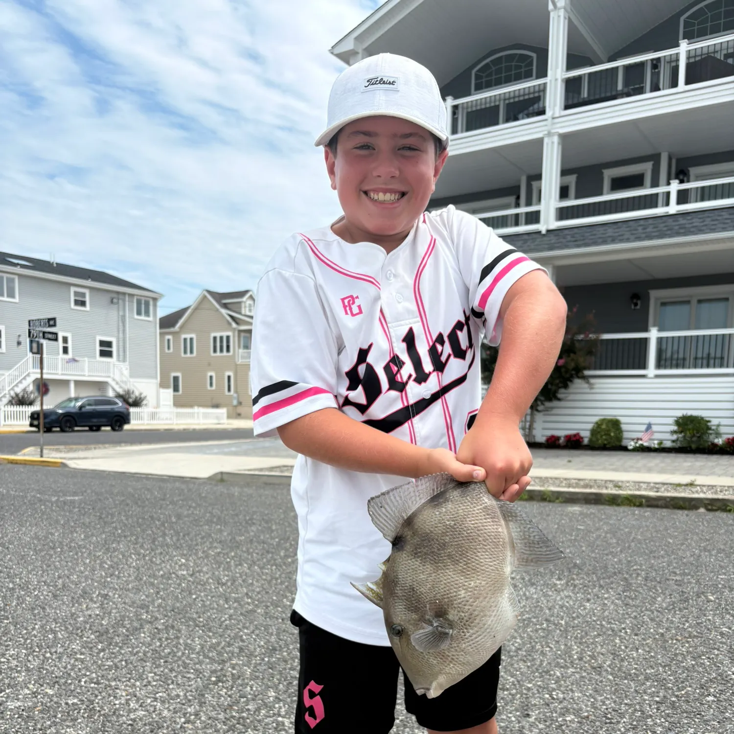 Grey triggerfish caught on Fishbrain
