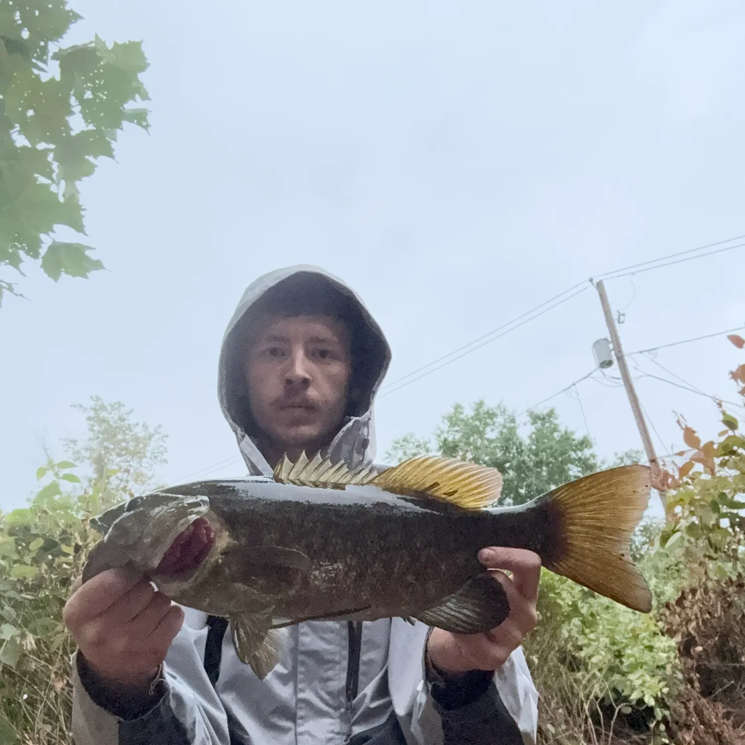 Smallmouth bass caught on Fishbrain