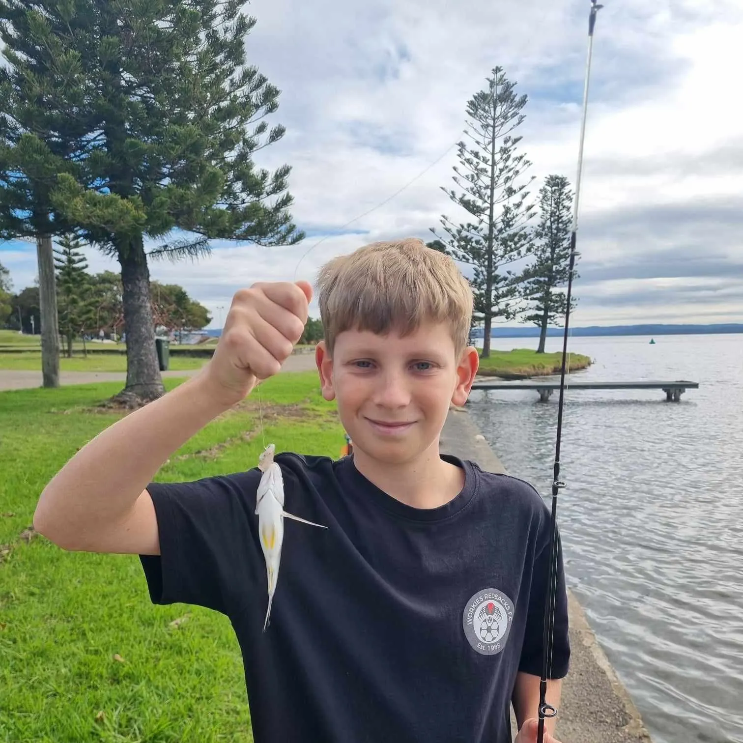 The most recent Surf bream catches on Fishbrain