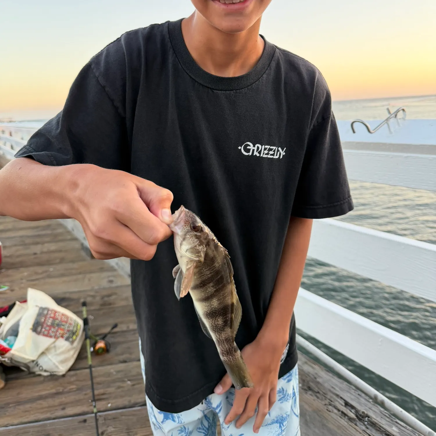 Barred sand bass caught on Fishbrain