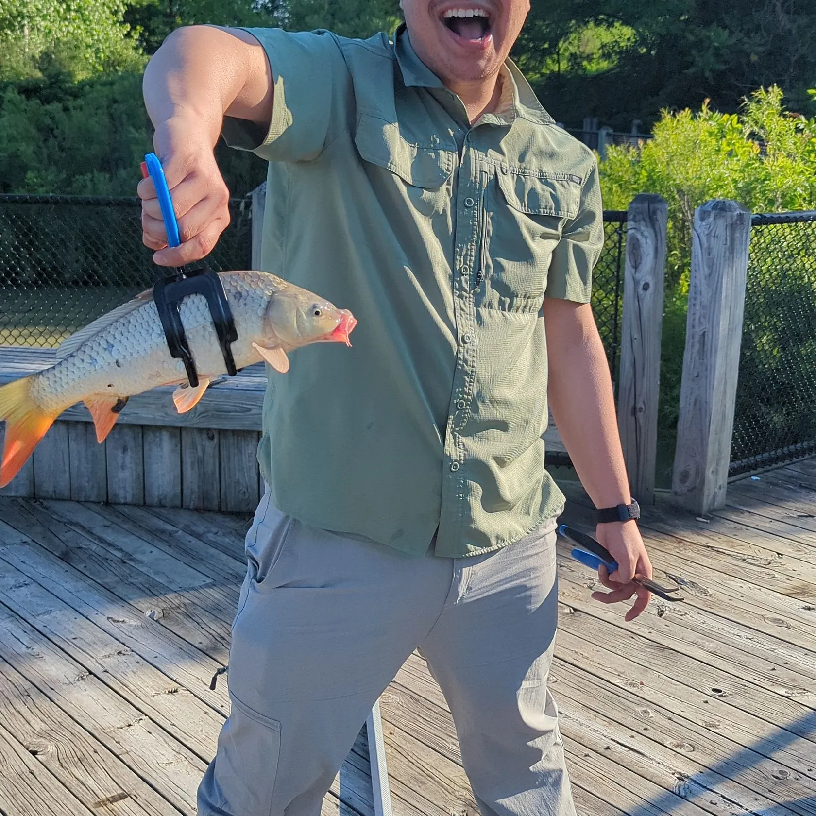 recently logged catches