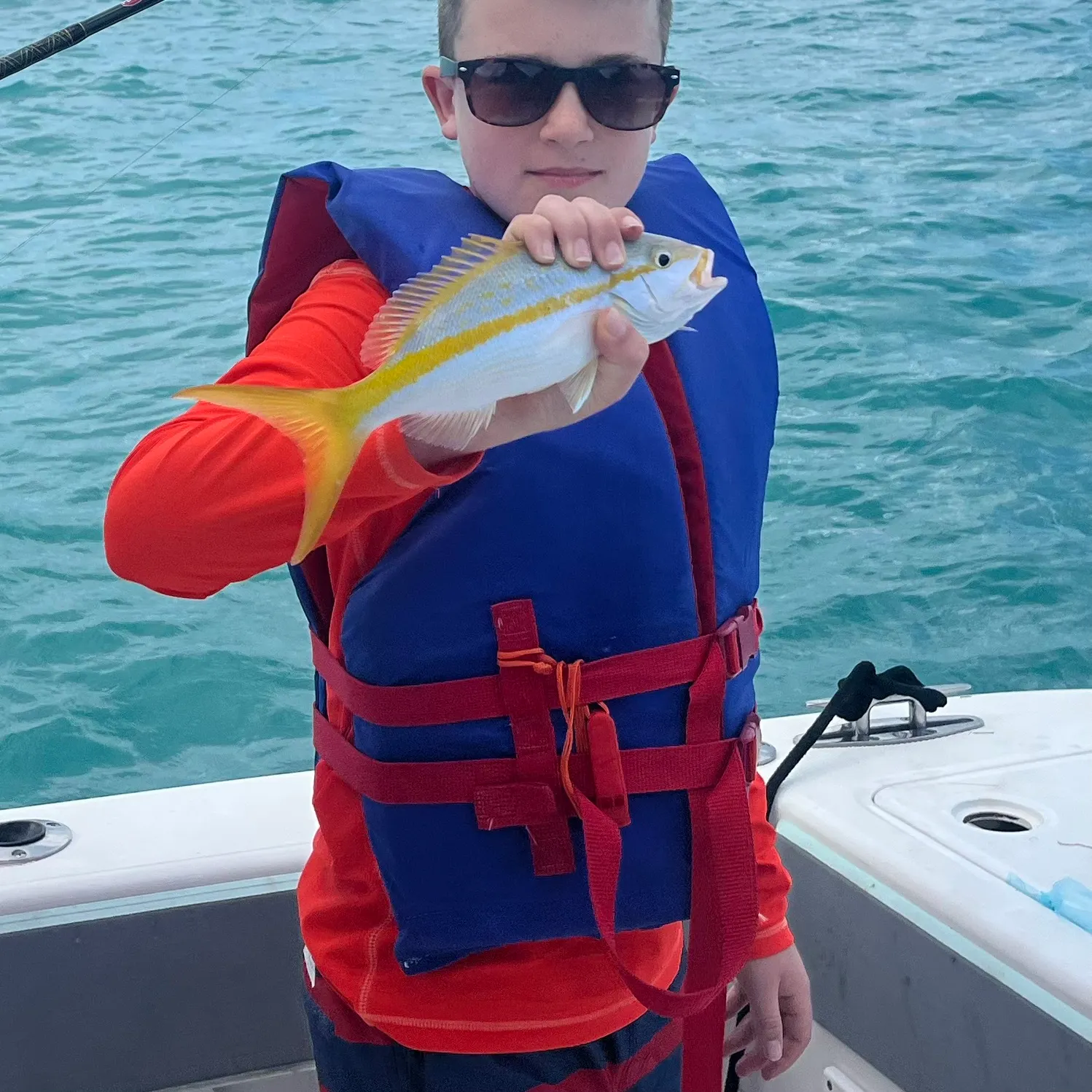 The most recent Yellowtail snapper catches on Fishbrain
