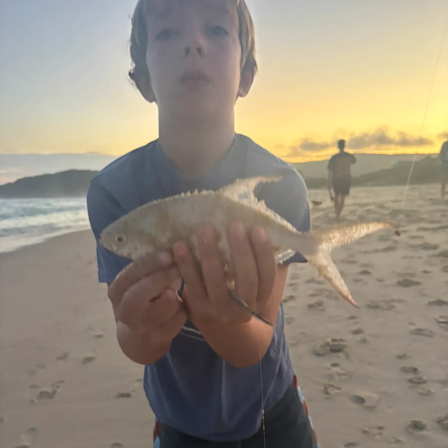 The most recent Palometa catches on Fishbrain