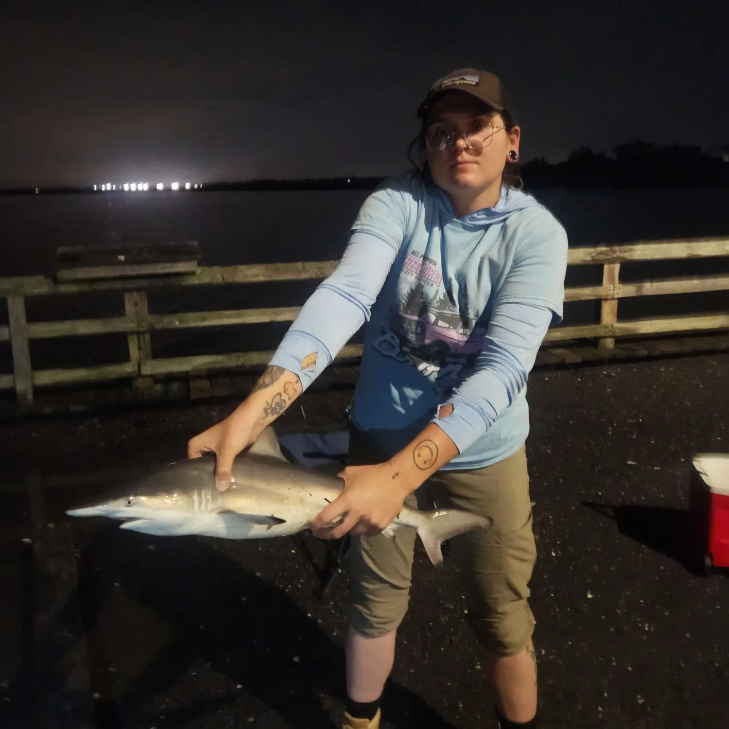 Blacktip shark caught on Fishbrain