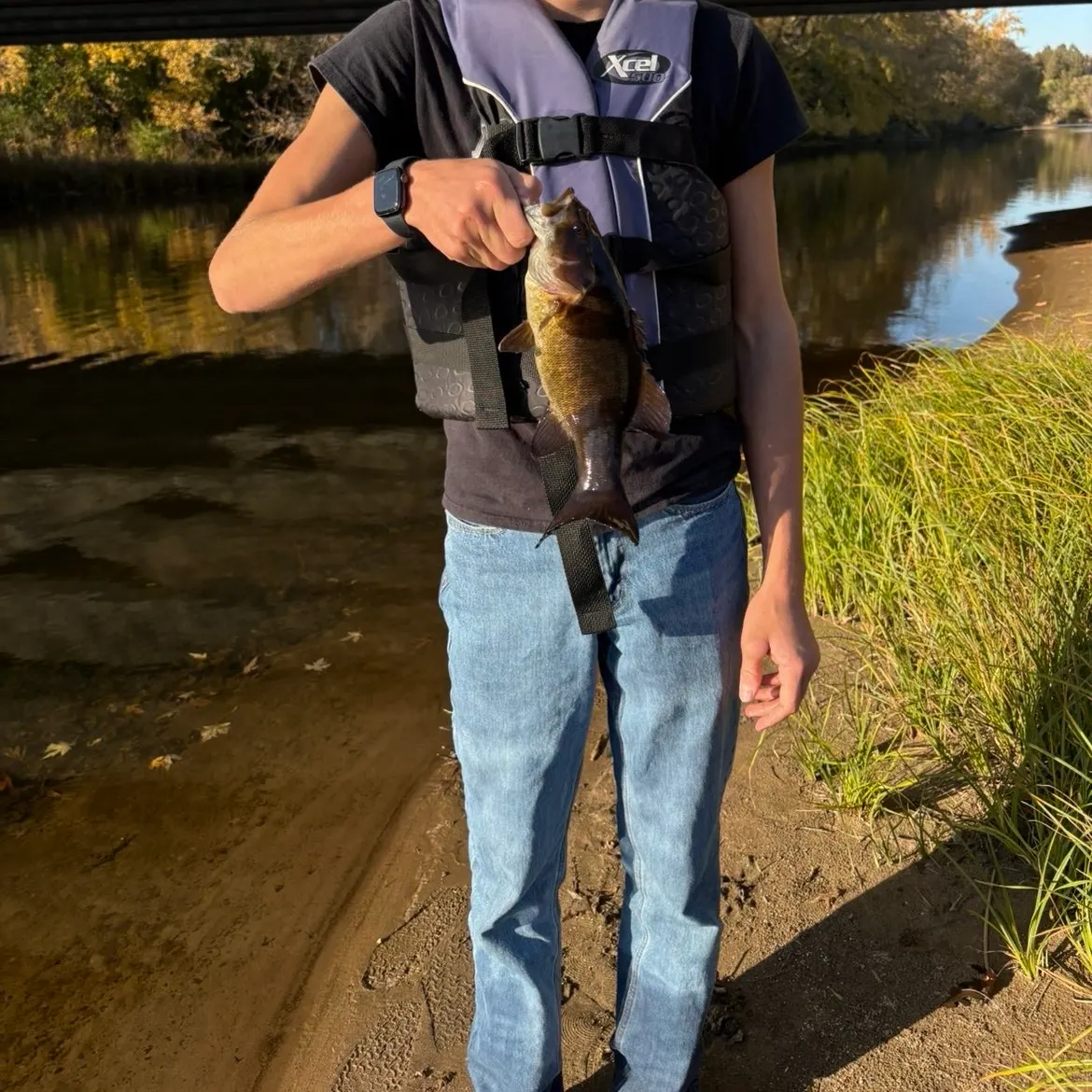 Smallmouth bass caught on Fishbrain