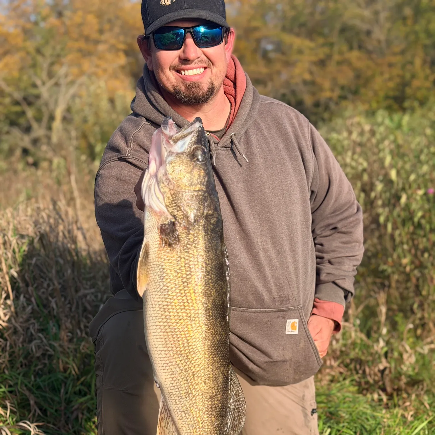 Walleye caught on Fishbrain