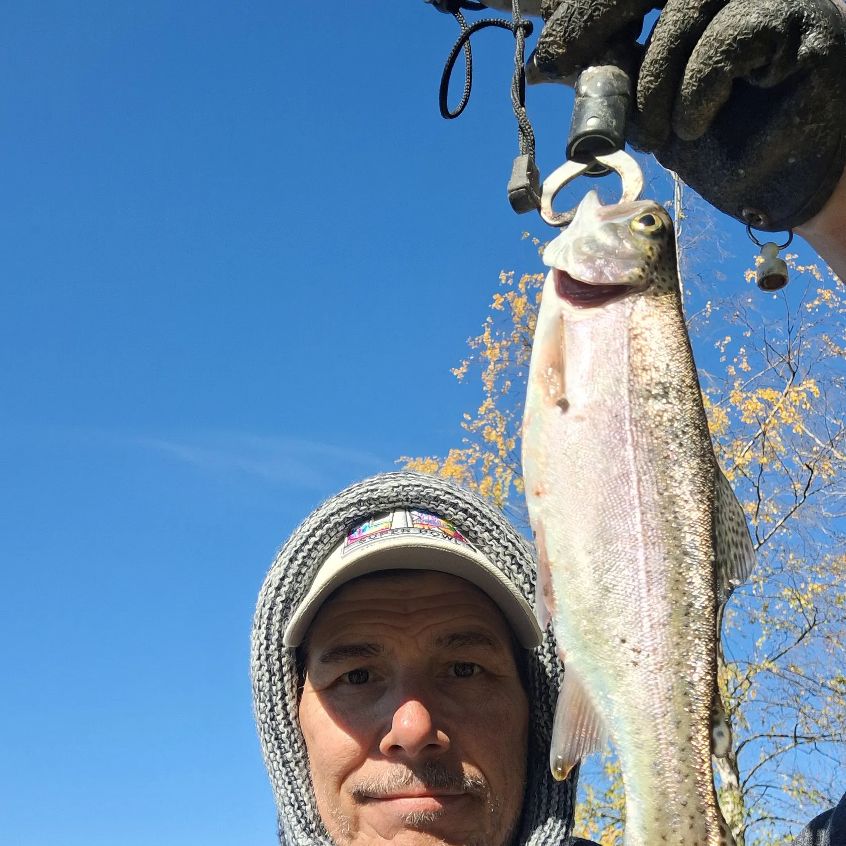 Rainbow trout caught on Fishbrain